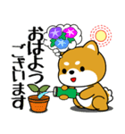 飛び出す！豆柴「夏を感じる」（個別スタンプ：1）