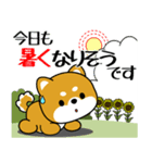 飛び出す！豆柴「夏を感じる」（個別スタンプ：2）