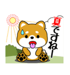 飛び出す！豆柴「夏を感じる」（個別スタンプ：4）