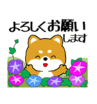 飛び出す！豆柴「夏を感じる」（個別スタンプ：5）