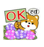 飛び出す！豆柴「夏を感じる」（個別スタンプ：6）