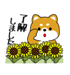 飛び出す！豆柴「夏を感じる」（個別スタンプ：7）