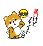飛び出す！豆柴「夏を感じる」（個別スタンプ：10）