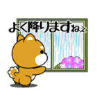 飛び出す！豆柴「夏を感じる」（個別スタンプ：13）