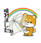 飛び出す！豆柴「夏を感じる」（個別スタンプ：16）