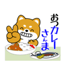 飛び出す！豆柴「夏を感じる」（個別スタンプ：20）