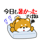 飛び出す！豆柴「夏を感じる」（個別スタンプ：22）