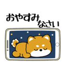 飛び出す！豆柴「夏を感じる」（個別スタンプ：24）