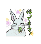 動物たちのわちゃわちゃ日常会話スタンプ（個別スタンプ：18）