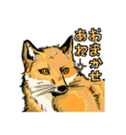 動物たちのわちゃわちゃ日常会話スタンプ（個別スタンプ：28）