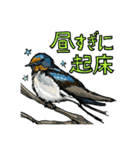 動物たちのわちゃわちゃ日常会話スタンプ（個別スタンプ：29）