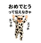エッホエッホ 赤ちゃん 伝えなきゃ【牛柄】（個別スタンプ：15）