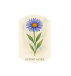 高山花シリーズ:Alpine Flowers（個別スタンプ：2）