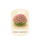 高山花シリーズ:Alpine Flowers（個別スタンプ：5）