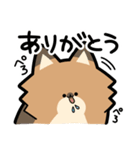 ぽんずぽんぽんポメラニアン2（個別スタンプ：1）
