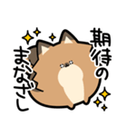 ぽんずぽんぽんポメラニアン2（個別スタンプ：3）
