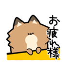 ぽんずぽんぽんポメラニアン2（個別スタンプ：4）