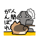ぽんずぽんぽんポメラニアン2（個別スタンプ：5）