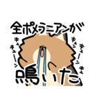 ぽんずぽんぽんポメラニアン2（個別スタンプ：12）