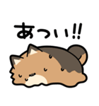 ぽんずぽんぽんポメラニアン2（個別スタンプ：18）