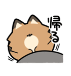 ぽんずぽんぽんポメラニアン2（個別スタンプ：21）