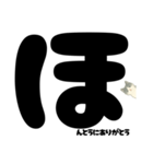 【ていねい】白黒ねこのことばスタンプ（個別スタンプ：33）