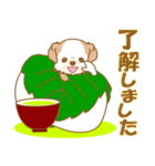 【犬屋】うちの子1番(チベタン)④（個別スタンプ：16）