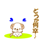 【犬屋】うちの子1番(チベタン)④（個別スタンプ：20）