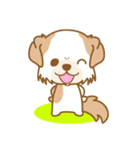【犬屋】うちの子1番(チベタン)④（個別スタンプ：38）