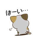 毎日五月病なねこたち23（個別スタンプ：4）