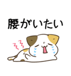 毎日五月病なねこたち23（個別スタンプ：6）