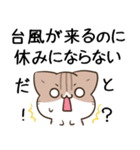 毎日五月病なねこたち23（個別スタンプ：37）