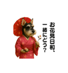 シュナウザー職業いろいろ（個別スタンプ：13）
