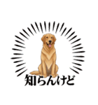 『ゴールデンレトリバー』のスタンプ（個別スタンプ：4）