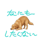 『ゴールデンレトリバー』のスタンプ（個別スタンプ：6）