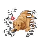 『ゴールデンレトリバー』のスタンプ（個別スタンプ：7）