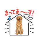 『ゴールデンレトリバー』のスタンプ（個別スタンプ：18）