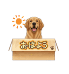 『ゴールデンレトリバー』のスタンプ（個別スタンプ：29）