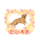 『ゴールデンレトリバー』のスタンプ（個別スタンプ：37）