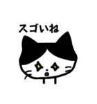 感情豊かなハチワレネコ（個別スタンプ：8）