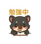 タスマルの毎日スタンプ（個別スタンプ：5）