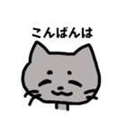 感情豊かなネコ（グレー）（個別スタンプ：4）