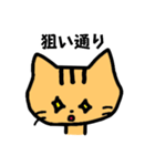 感情豊かなトラネコ（個別スタンプ：1）