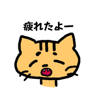感情豊かなトラネコ（個別スタンプ：3）