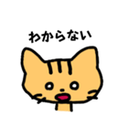 感情豊かなトラネコ（個別スタンプ：8）