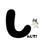 元気★白黒ねこのエールスタンプ（個別スタンプ：6）