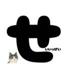 元気★白黒ねこのエールスタンプ（個別スタンプ：16）