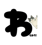 元気★白黒ねこのエールスタンプ（個別スタンプ：19）