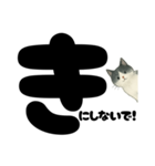 元気★白黒ねこのエールスタンプ（個別スタンプ：21）