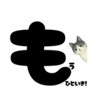 元気★白黒ねこのエールスタンプ（個別スタンプ：26）